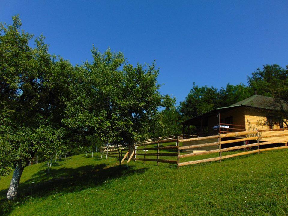 Forest Lodge On The Pyramid Високо Экстерьер фото